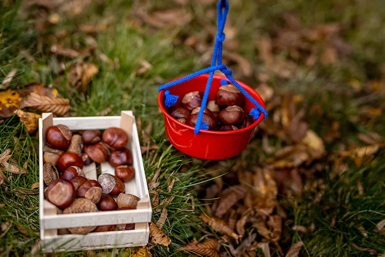 Kindesentwicklung fördern mit nachhaltigem Spielzeug und Lernspielzeug für Kinder